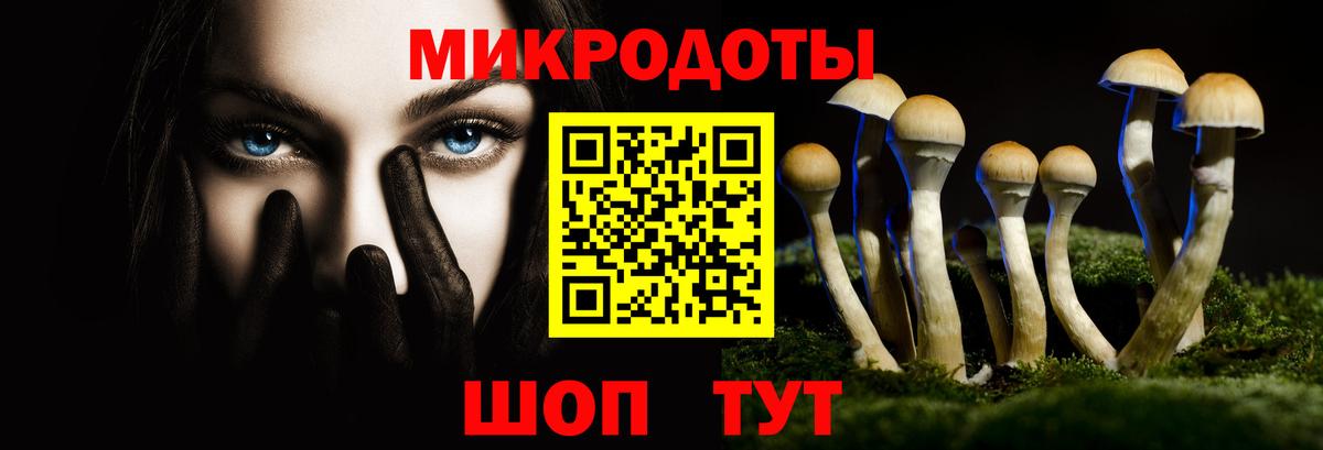 Тейково  Галлюциногенные грибы GOLDEN TEACHER  Вход с VPN 